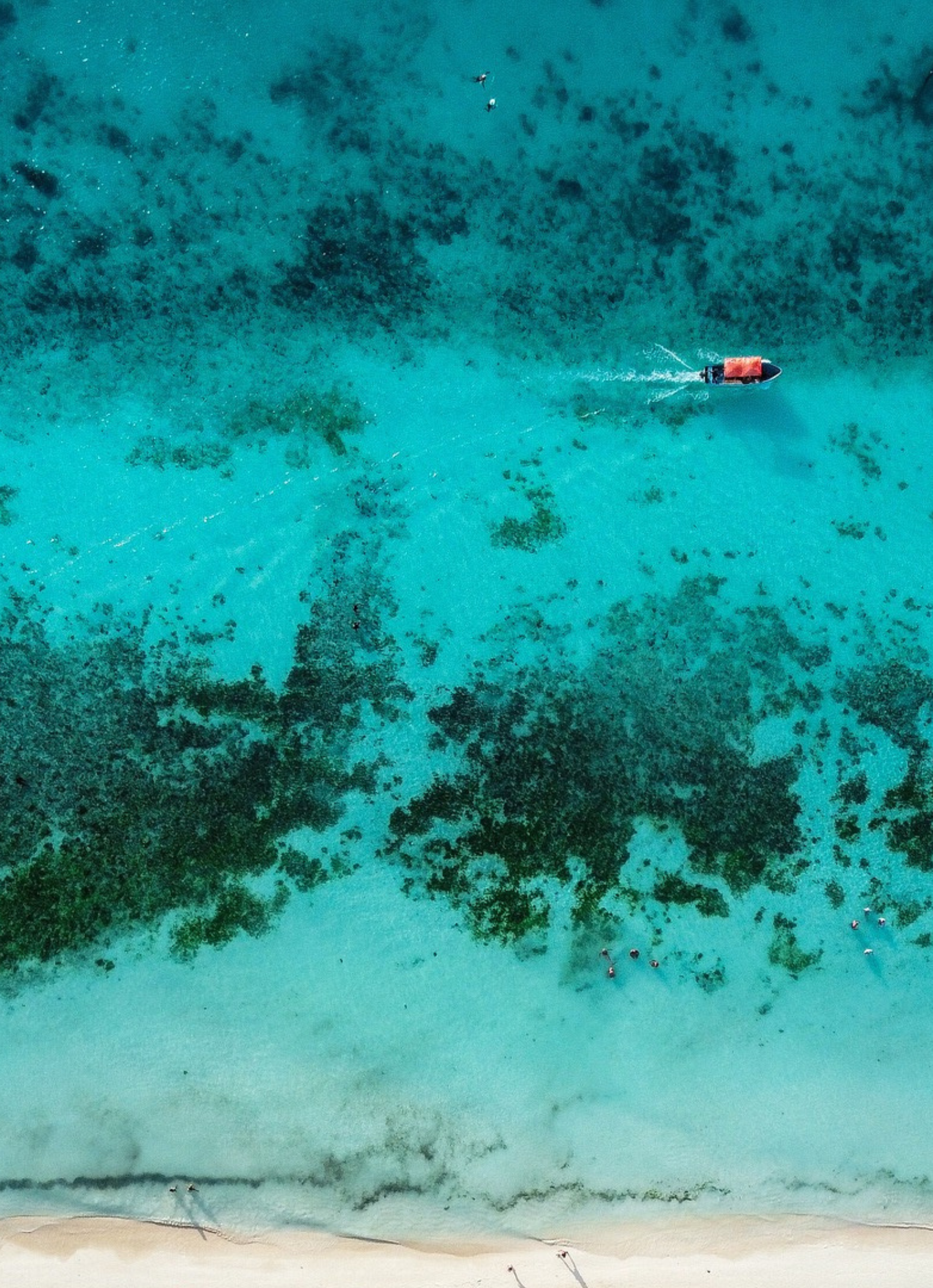 Découvrez nos terrains exceptionnel à Zanzibar pour l'investissement Immobilier !