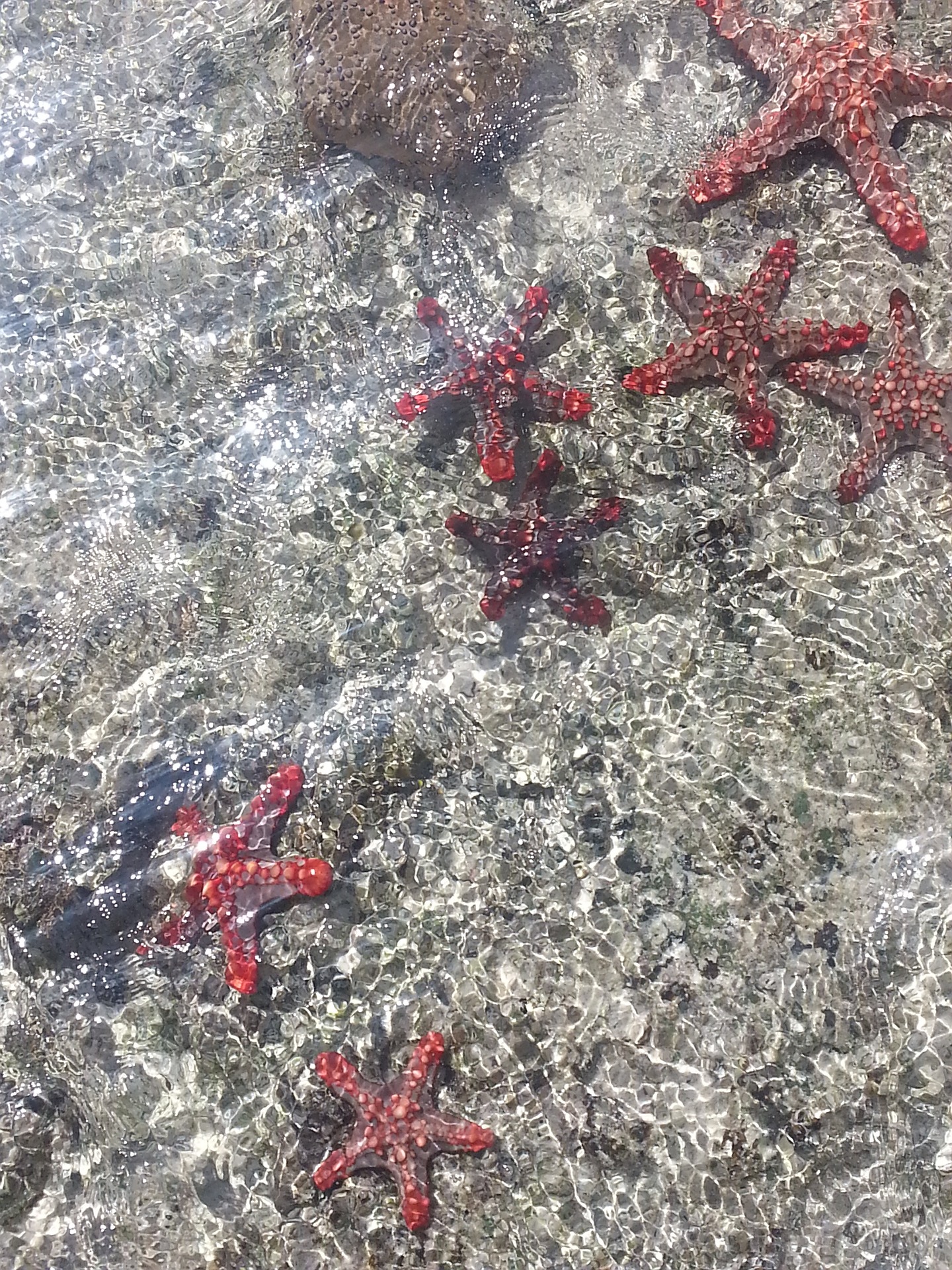 Investir et faire sa place dans le Luxe en Tanzanie, découvrez nos solutions !